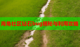 海角社区钻石bug揭秘与利用攻略