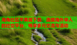海角社区苹果版下载：连接海外华人的社交平台，畅享多元交流与活动