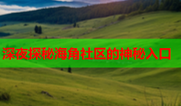 深夜探秘海角社区的神秘入口