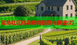 海角社区精彩瞬间回顾与展望(2)