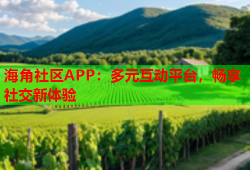 海角社区APP：多元互动平台，畅享社交新体验