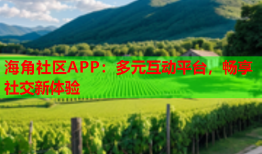 海角社区APP：多元互动平台，畅享社交新体验