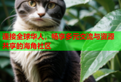 连接全球华人，畅享多元交流与资源共享的海角社区