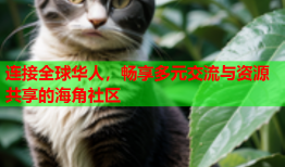 连接全球华人，畅享多元交流与资源共享的海角社区