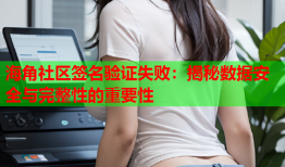 海角社区签名验证失败：揭秘数据安全与完整性的重要性
