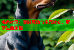 海角社区：实时互动与多元社交，尽享生活乐趣