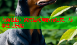 海角社区：实时互动与多元社交，尽享生活乐趣