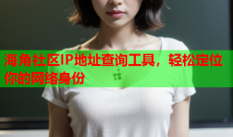 海角社区IP地址查询工具，轻松定位你的网络身份