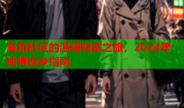 海角社区的温暖归家之旅，2024年独特返乡指南