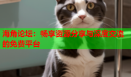 海角论坛：畅享资源分享与深度交流的免费平台