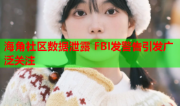 海角社区数据泄露 FBI发警告引发广泛关注