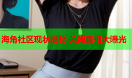 海角社区现状揭秘 关闭真相大曝光