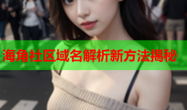 海角社区域名解析新方法揭秘