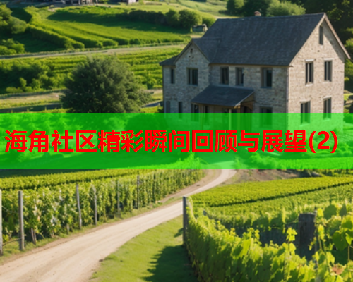 海角社区精彩瞬间回顾与展望(2)