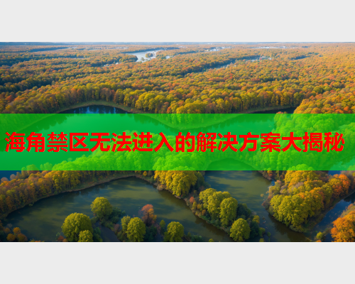 海角禁区无法进入的解决方案大揭秘