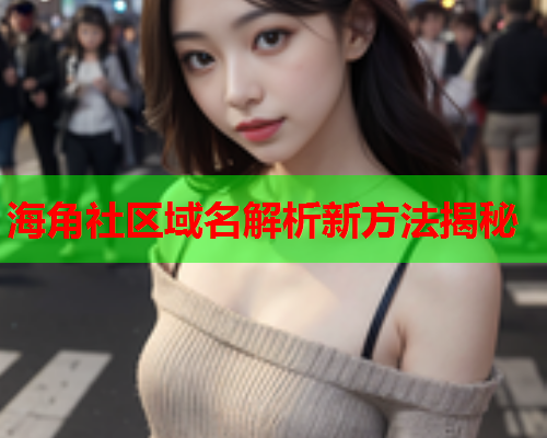 海角社区域名解析新方法揭秘
