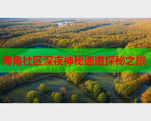 海角社区深夜神秘通道探秘之旅