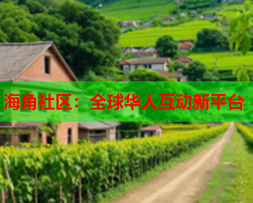 海角社区：全球华人互动新平台