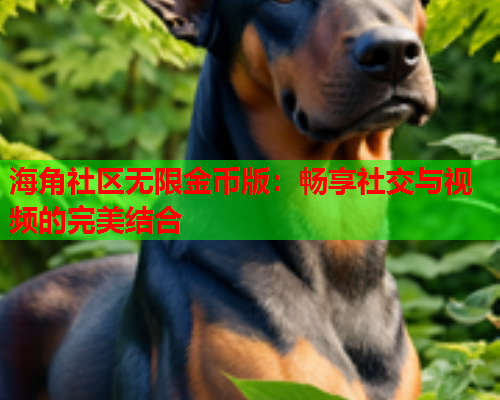 海角社区无限金币版：畅享社交与视频的完美结合