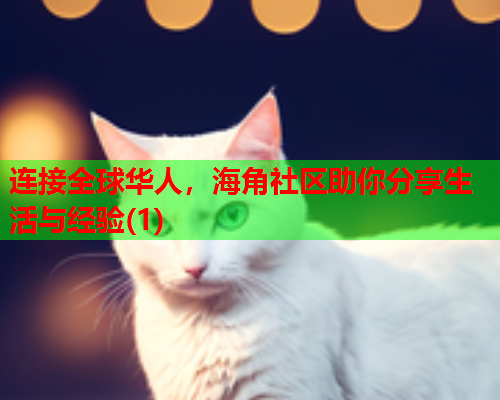 连接全球华人，海角社区助你分享生活与经验(1)