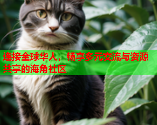 连接全球华人，畅享多元交流与资源共享的海角社区