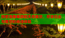 探索海角草原的无尽美景，尽享日出与星空的绝佳体验