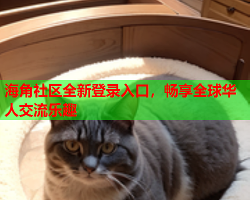 海角社区全新登录入口，畅享全球华人交流乐趣